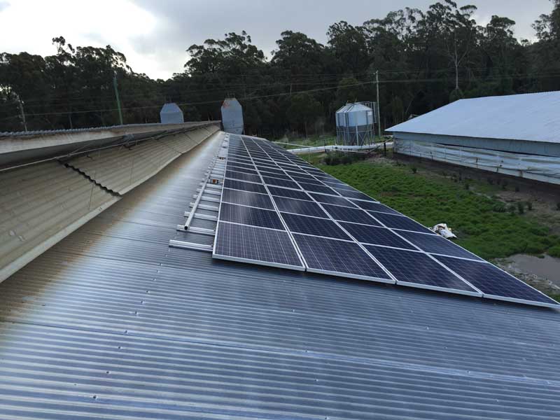 Commercial Solar Alderley Creek Egg Farm Booral